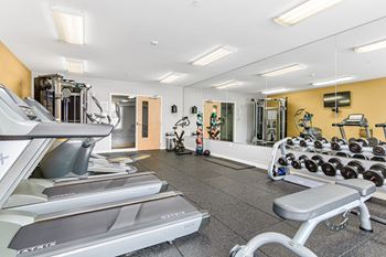 A gym with treadmills, weights, and exercise equipment.